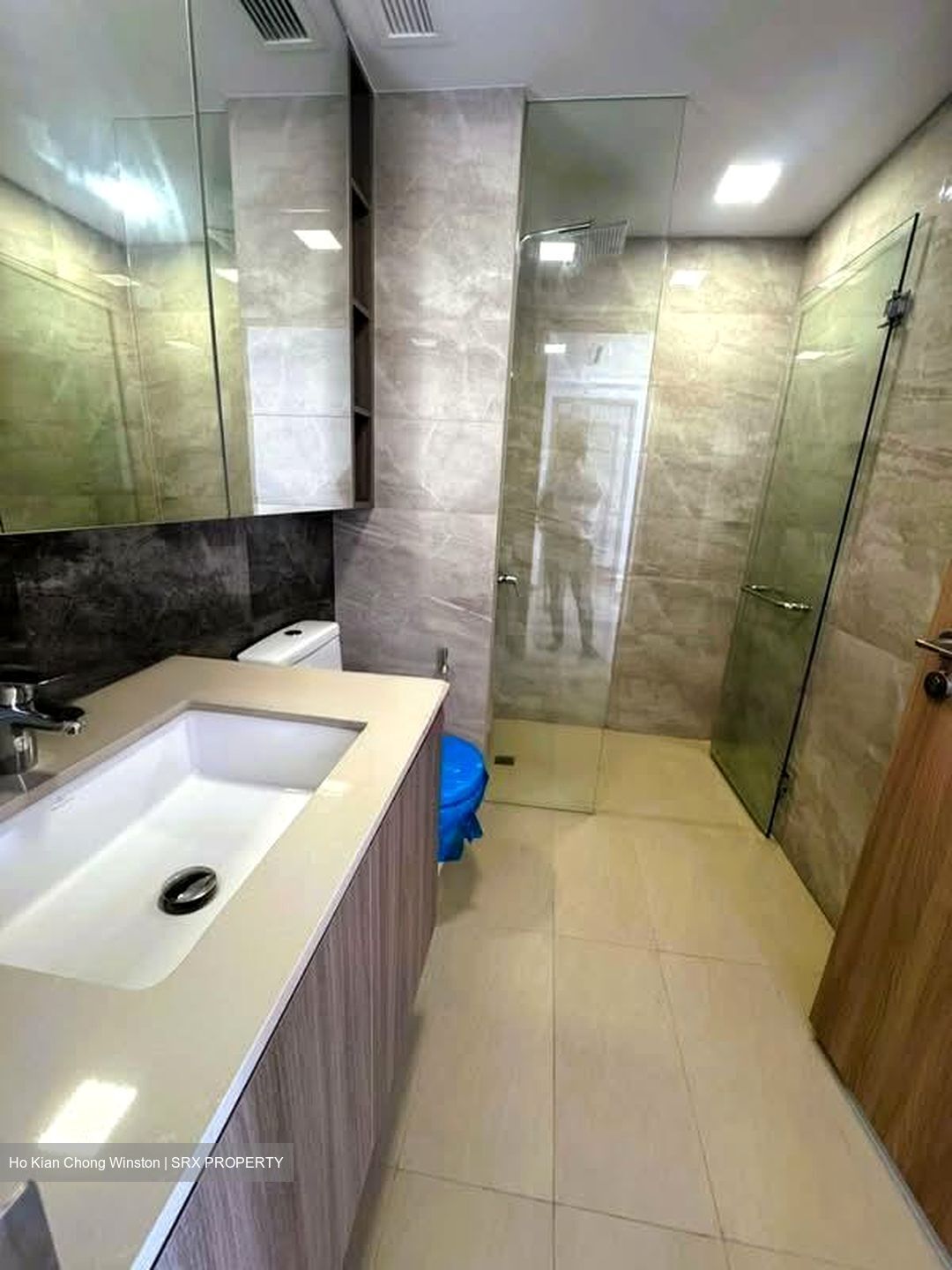 The Botany At Dairy Farm (D23), Condominium #564568141